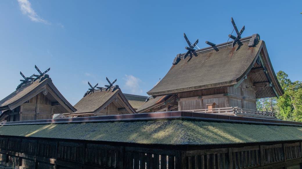 朝の出雲大社② / 3