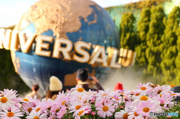 Release stress! Have fun at USJ3386106