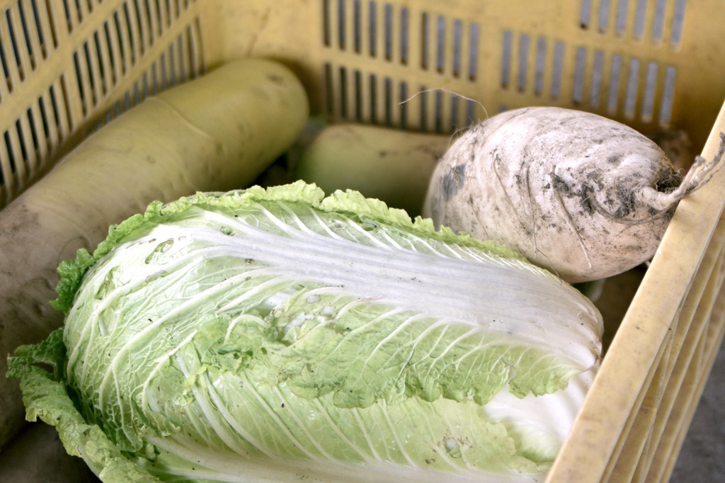 「都野菜 賀茂」で頂く新鮮京野菜♪ 850891