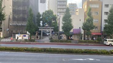 部屋からの景観 / 6