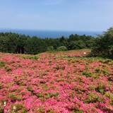 星ヶ山公園（ほしがやまこうえん）