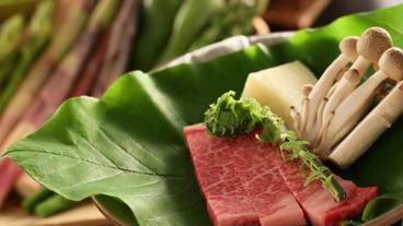 食事・飲み物 / 13