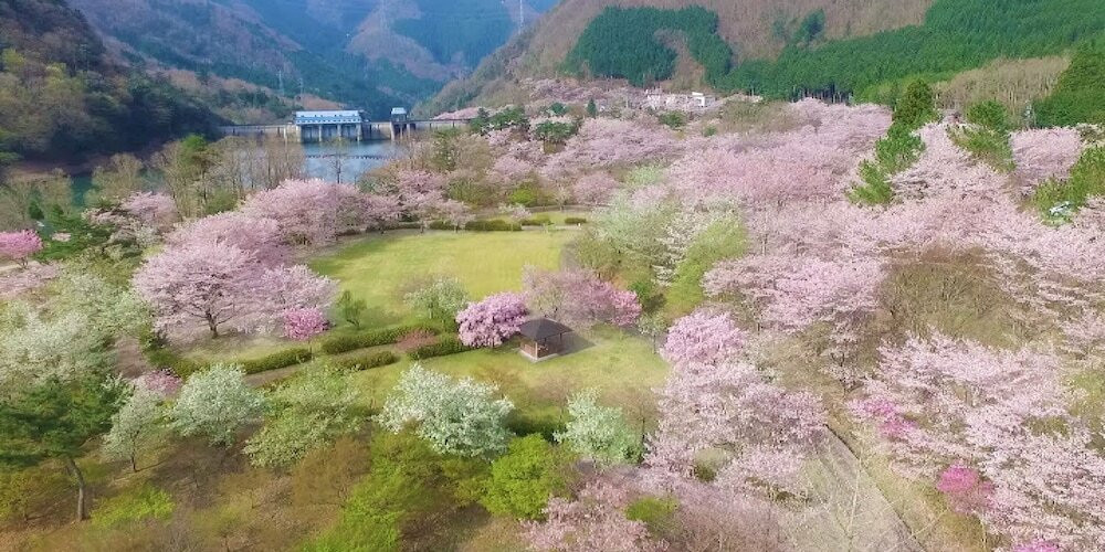 ランド ビュー