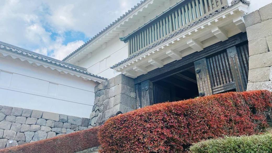 歴女にはたまらない
小田原城を観光♪ / 4