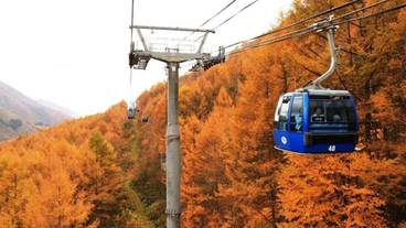 施設からの眺望 / 36