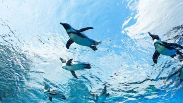 シティ ビュー / 8