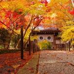 京都・長岡京を観光♪風情を感じてまったりできるスポット10選