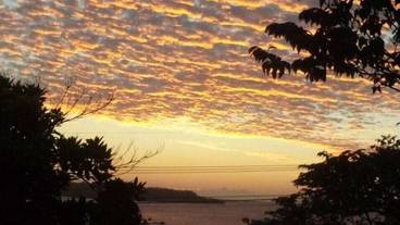 部屋からの景観 / 16