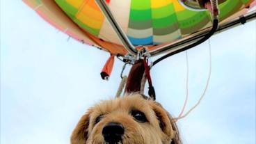 子供向けアクティビティ / 3