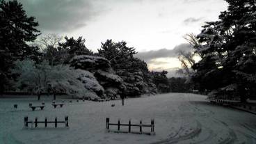 施設の敷地 / 18