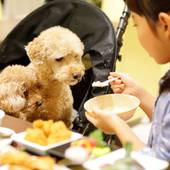 レジーナリゾート鴨川（千葉県 リゾートホテル） / 4