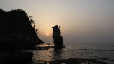 施設からの眺望 / 29