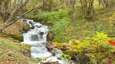 プライべ―トガーデンの風景② / 3