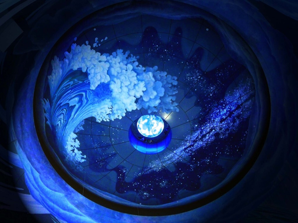 神奈川県立生命の星 地球博物館2036549