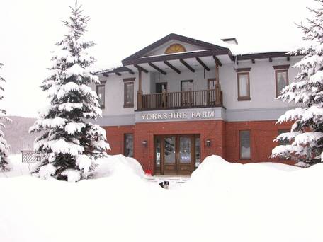 YORKSHIRE FARM（ヨークシャーファーム） / 2