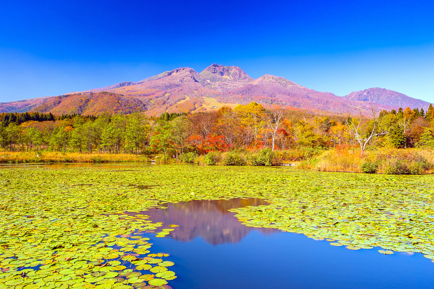 紅葉のいもり池と妙高山