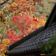 由布院温泉 湯布院 山灯館