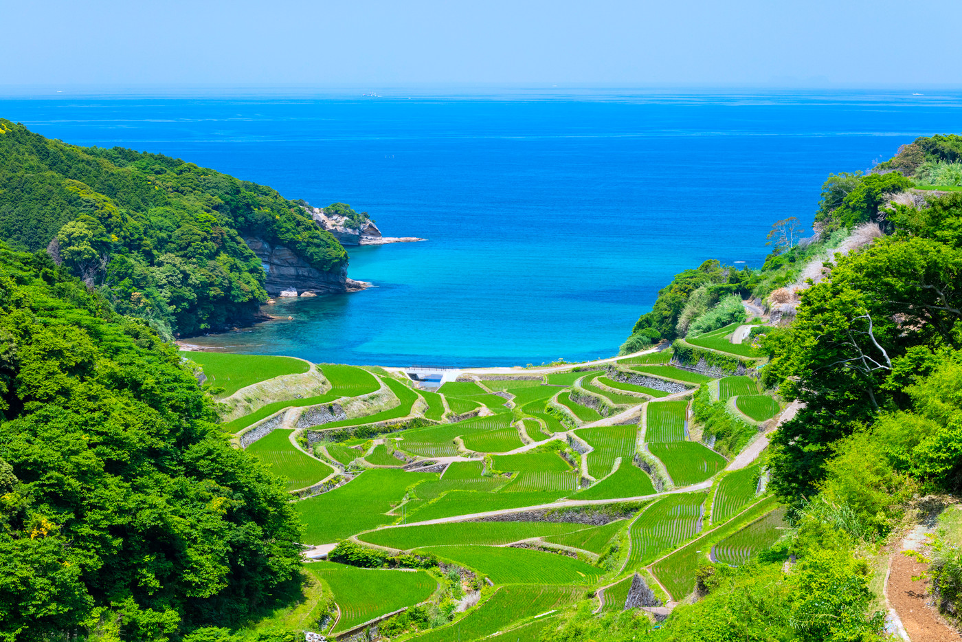 初夏の若稲が美しい浜野浦の棚田(佐賀県玄海町)