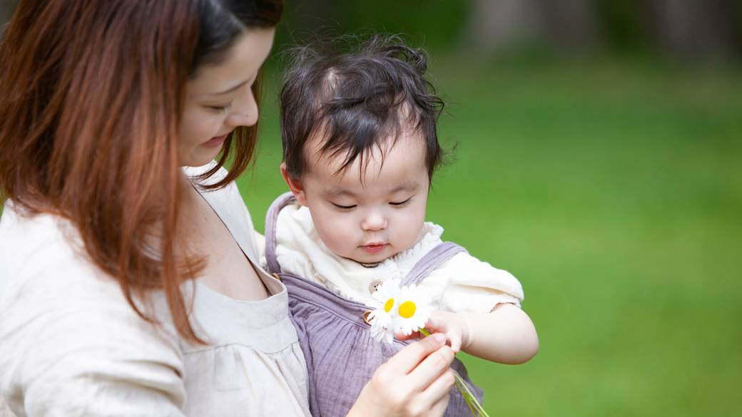 豊かな自然を感じる
心地よい京都の朝 / 4