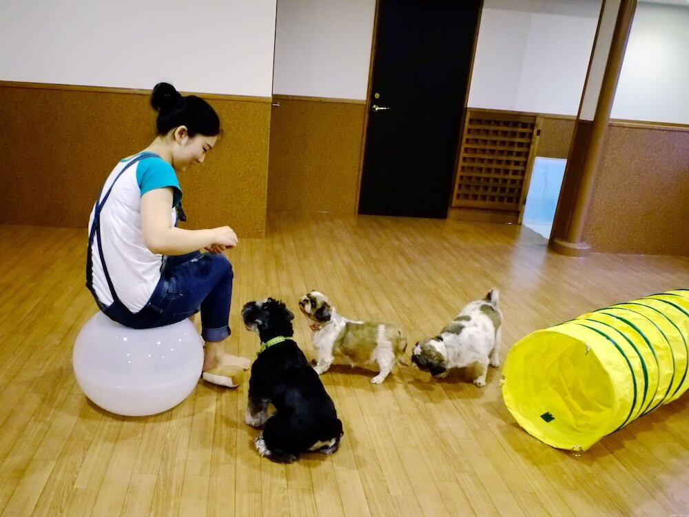 ペット用設備・サービス