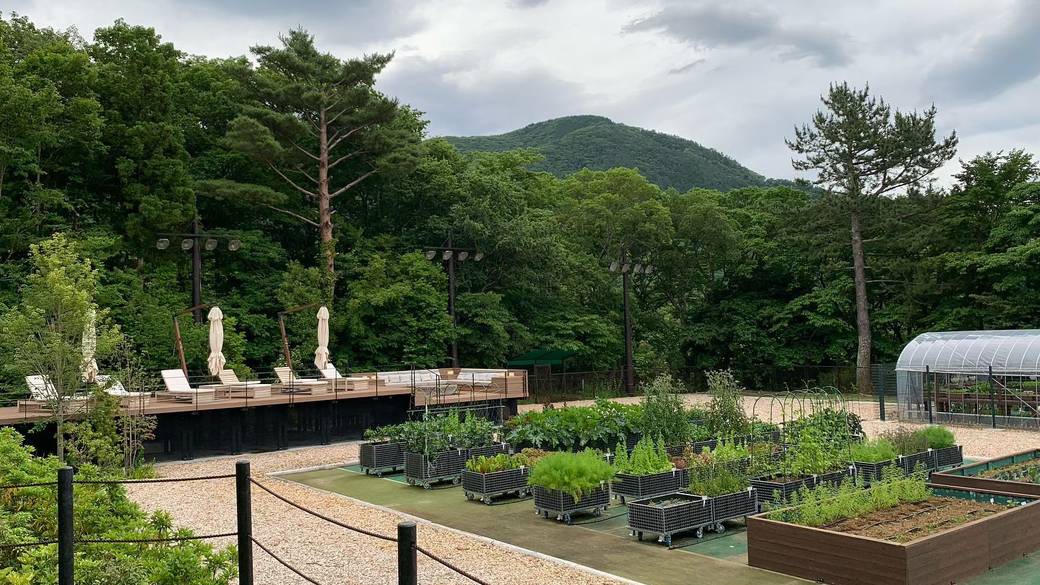 フォレストテラスとファーム / 1