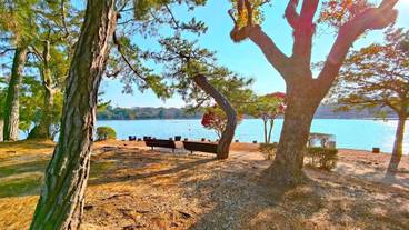 ランド ビュー / 15