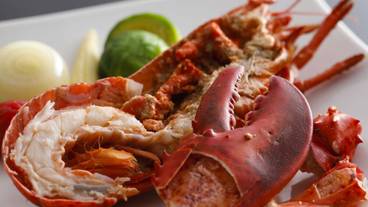 レストラン / 15