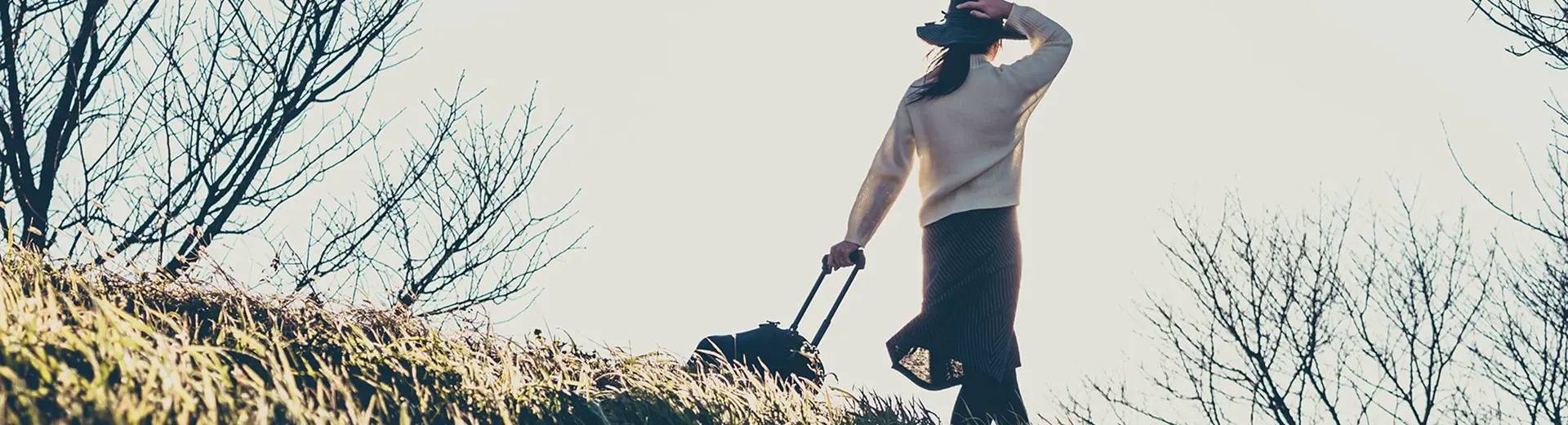 インスタグラムでご紹介した記事