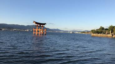 ランド ビュー / 17