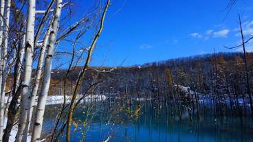 観光スポット / 5