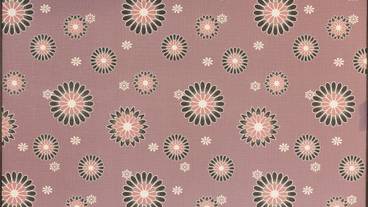 内装の詳細 / 17