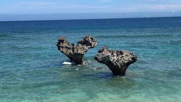 子供向けアクティビティ / 3