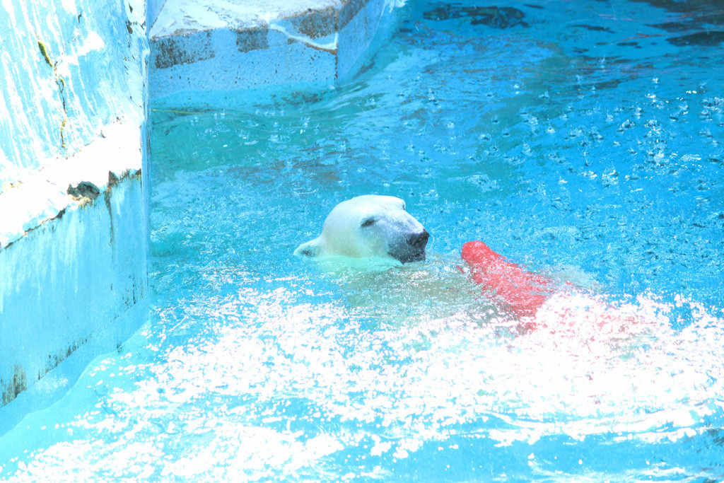 天王寺公園と動物園