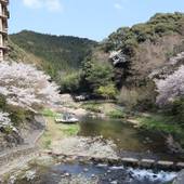 山口県 長門湯本温泉 大谷山荘（山口県 旅館） / 5
