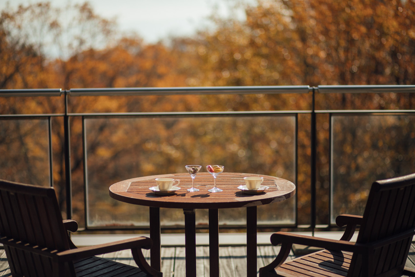 森のホテルで贅沢なオールインクルーシブ3399976