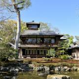 心静かに見学したい
「旧三井家下鴨別邸」 / 1