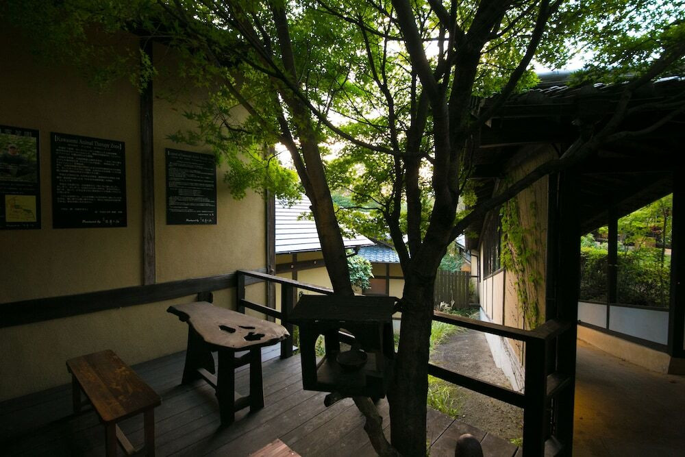 テラス / パティオ