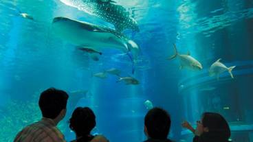 観光スポット / 11