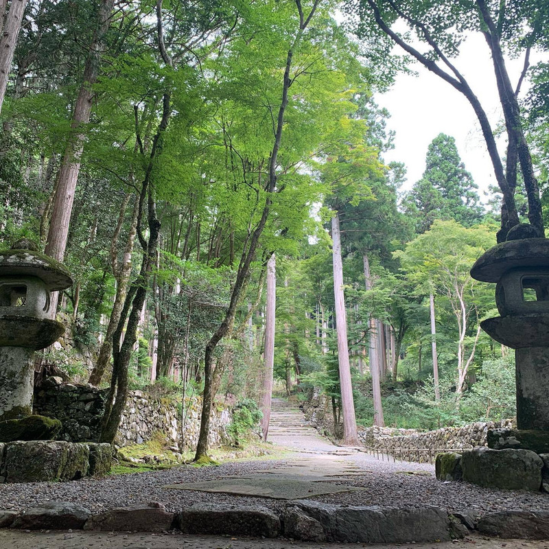 ririripkさんの写真 / 2