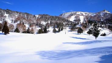 施設からの眺望 / 9