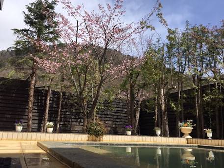 温泉旅館 錦和荘 / 5