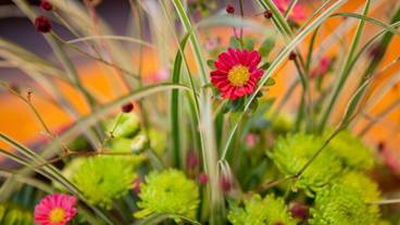 施設の敷地 / 11