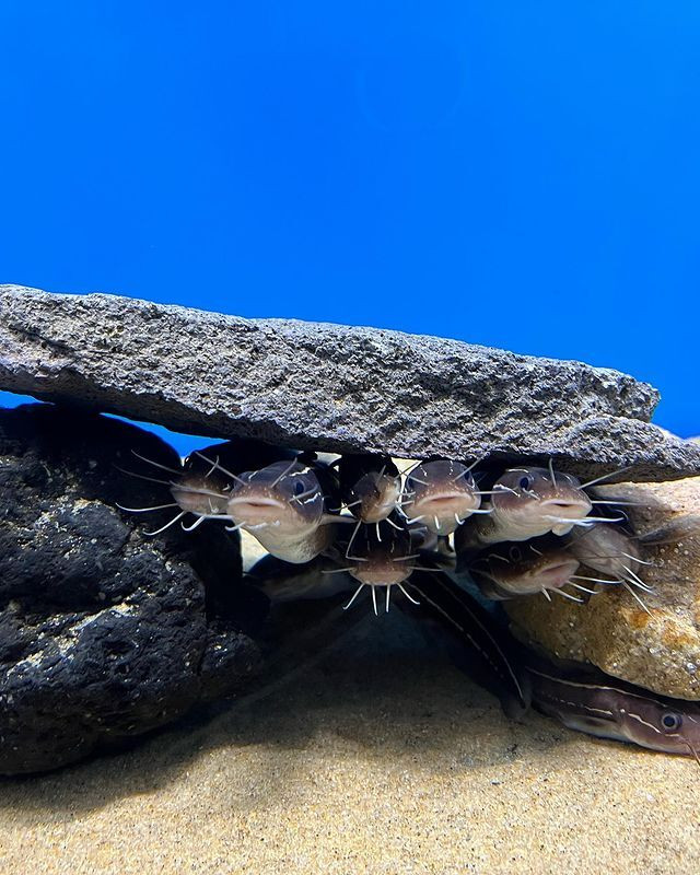 chihiro_s.k.rさんの写真 / 3