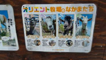 ランド ビュー / 24