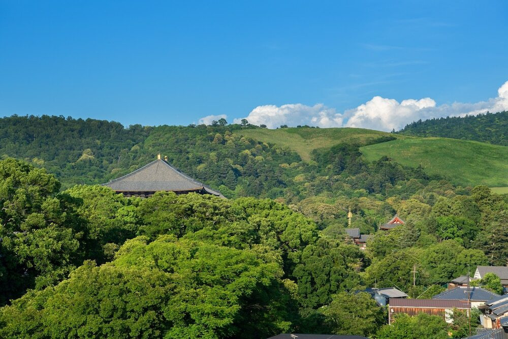 マウンテン ビュー