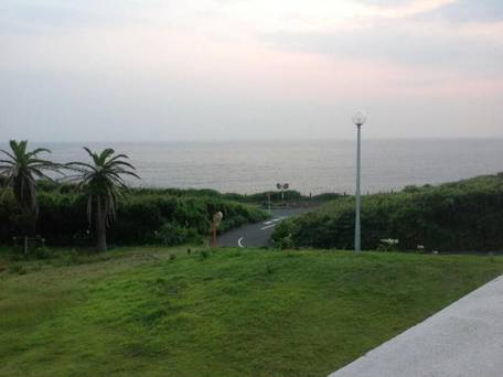 マリンプラザ ワイズドリーム / 5