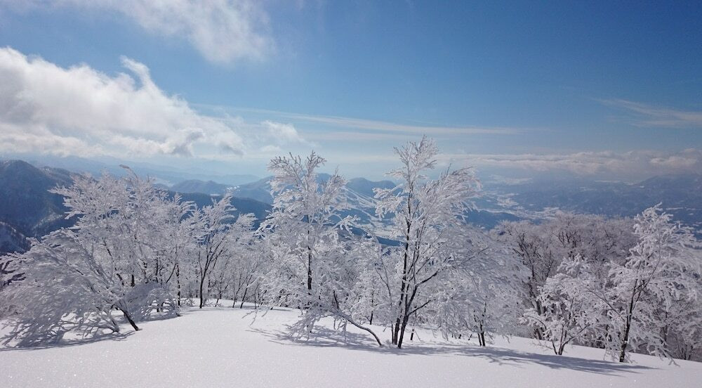 スノー スポーツとスキー