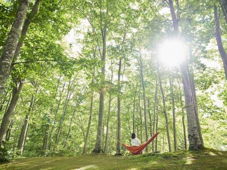 函館大沼プリンスホテル / 2