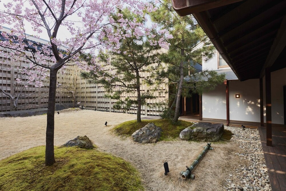 中庭の桜