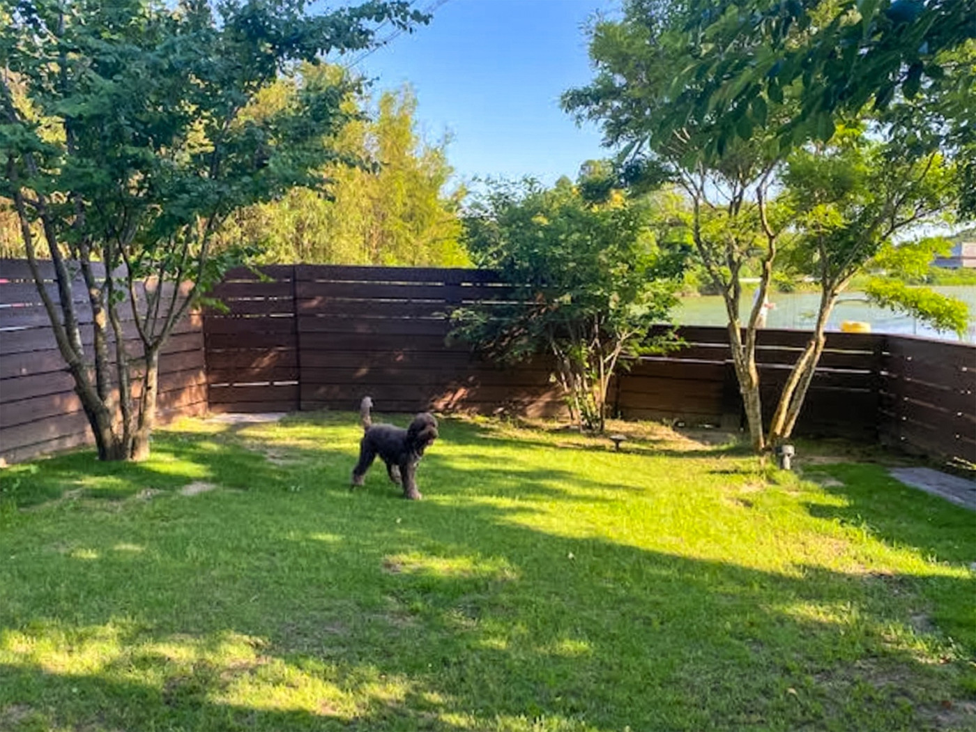 南房総で愛犬とのびのび過ごせる4240890